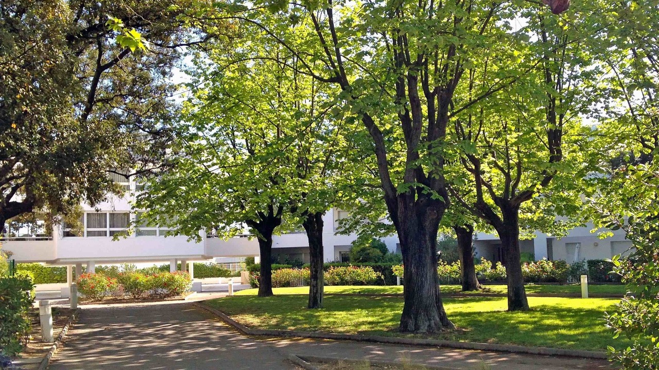 Photo of Outdoor in Alco