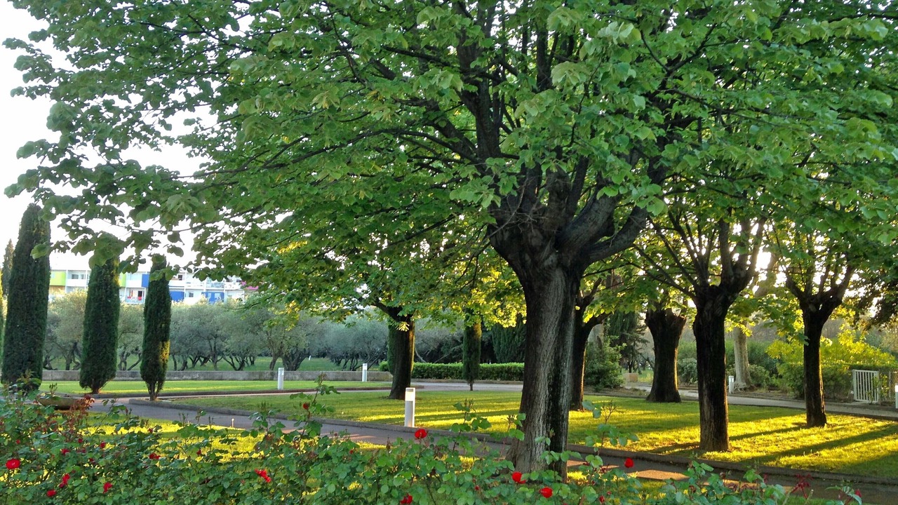 Photo of Outdoor in Alco