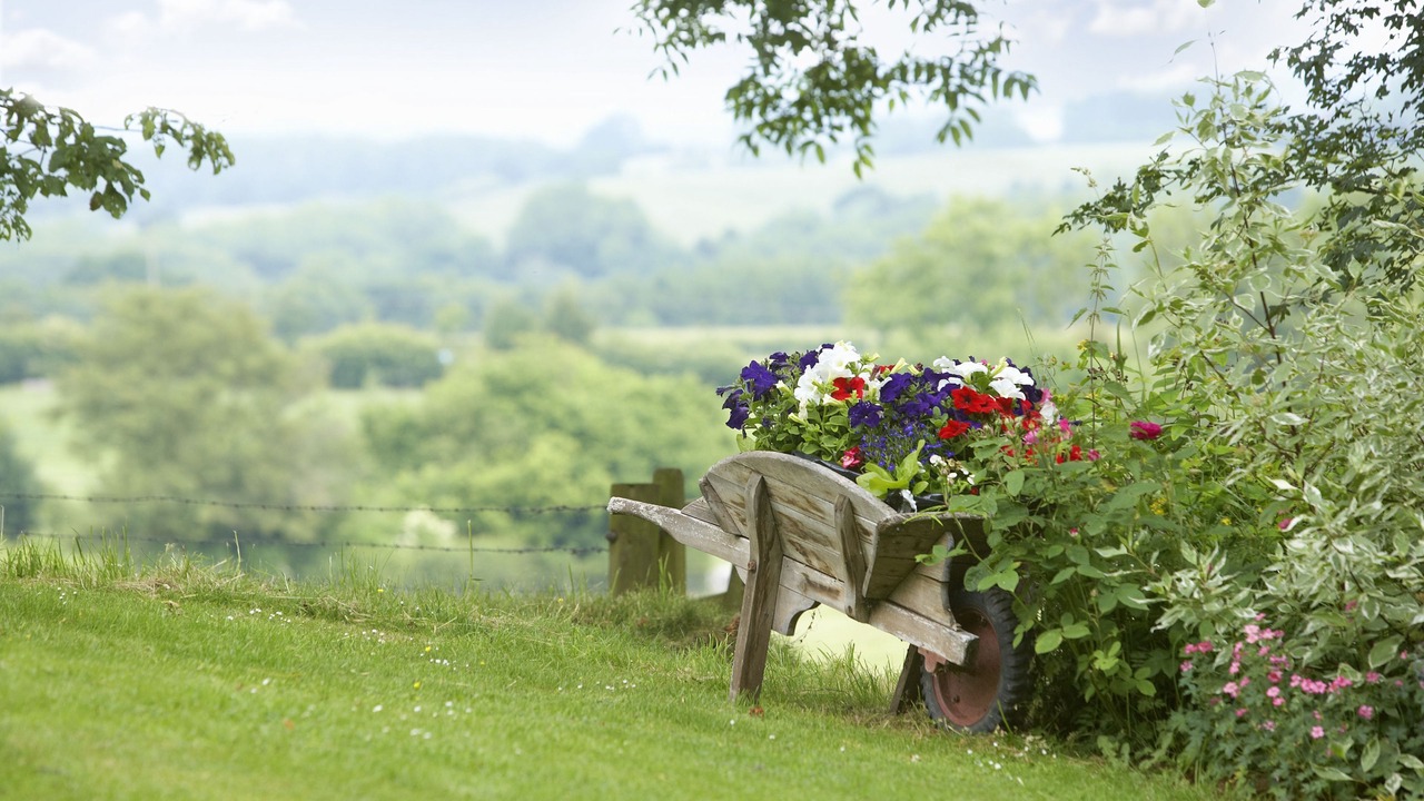 Photo of Others in Tenbury Wells