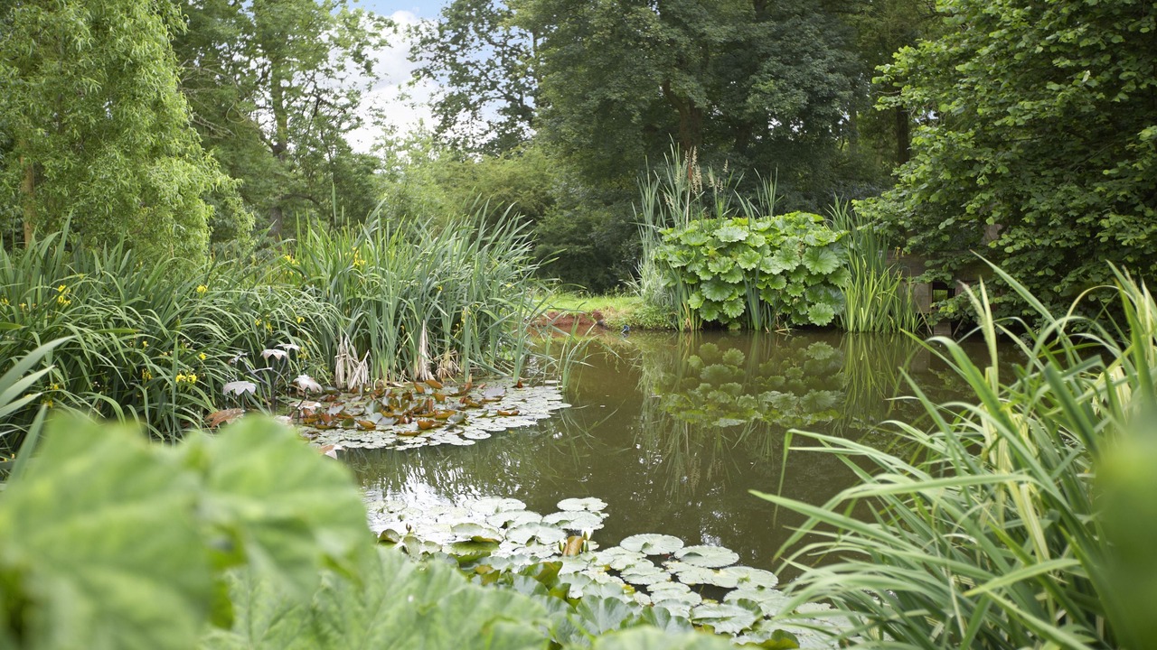 Photo of Outdoor in Tenbury Wells