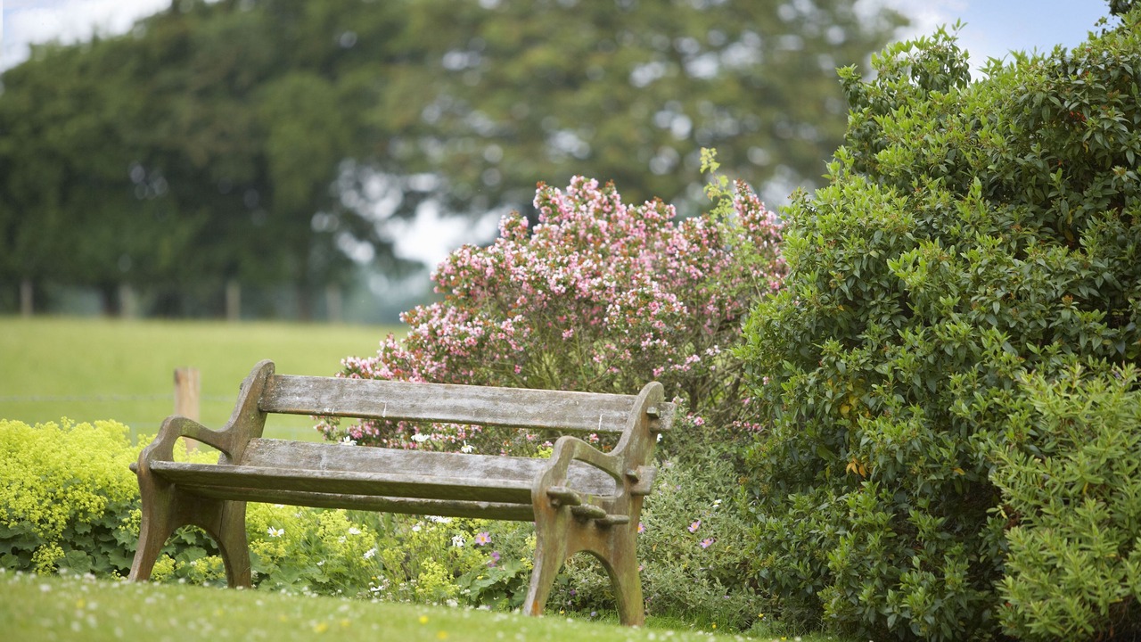 Photo of Outdoor in Tenbury Wells