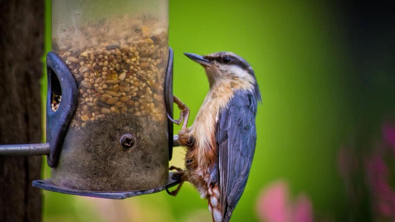 Photo of Others in Tenbury Wells