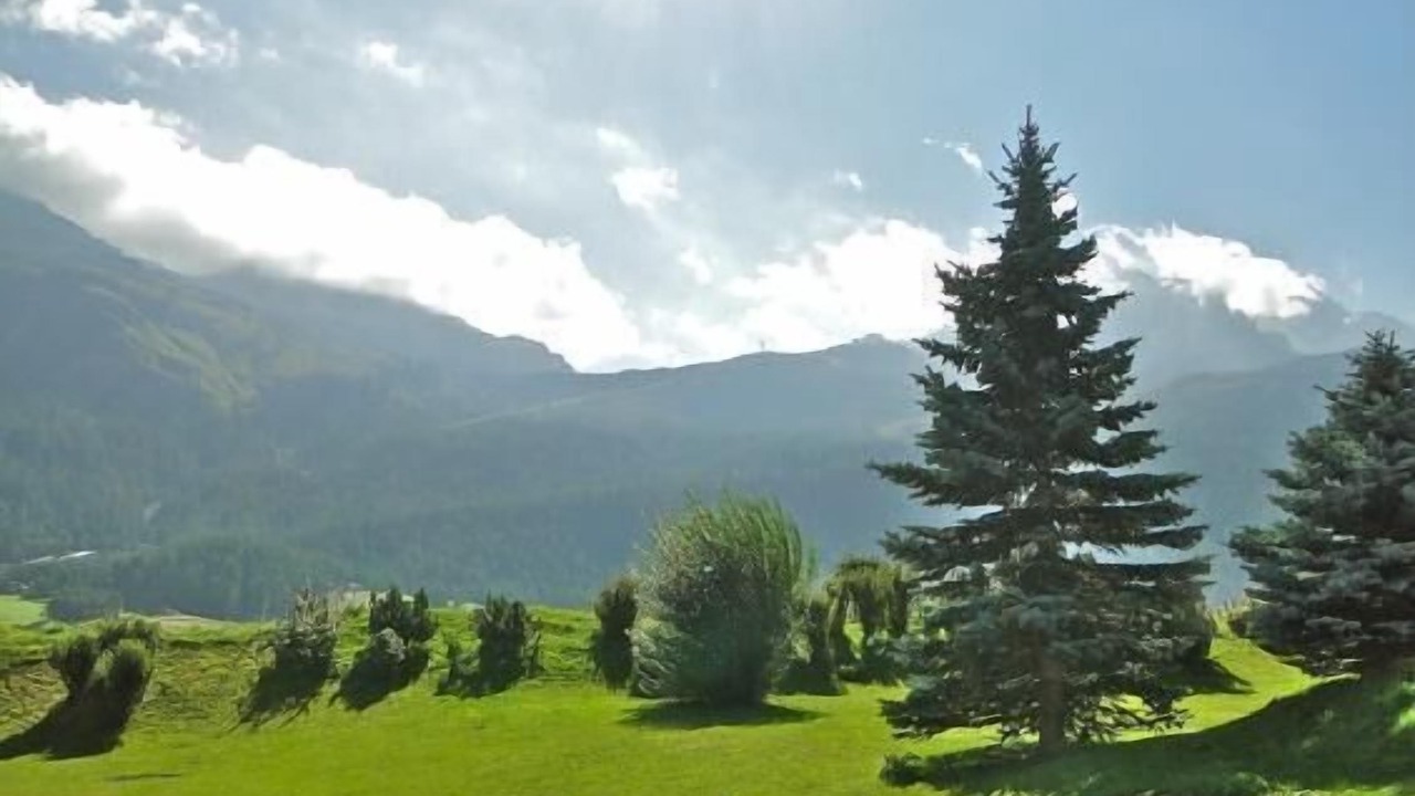 Photo of Outdoor in Silvaplana