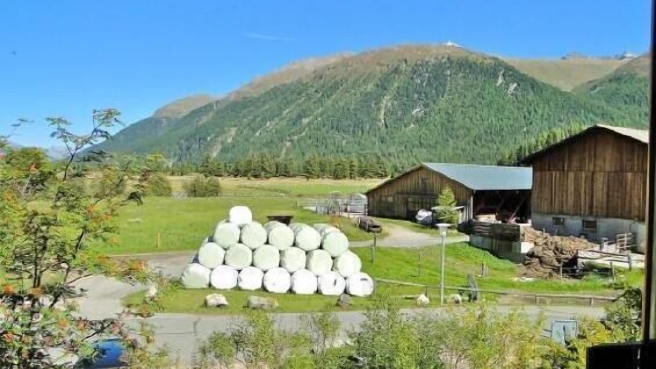 Photo of Others in Celerina-Schlarigna