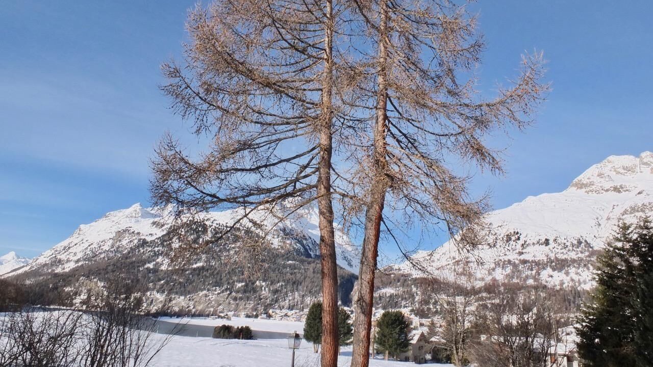 Photo of Outdoor in Surlej
