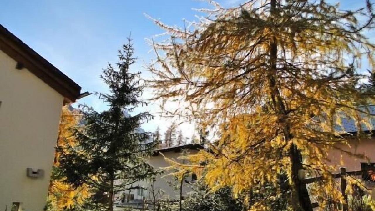 Photo of Outdoor in Pontresina