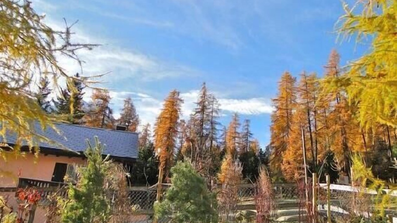 Photo of Outdoor in Pontresina