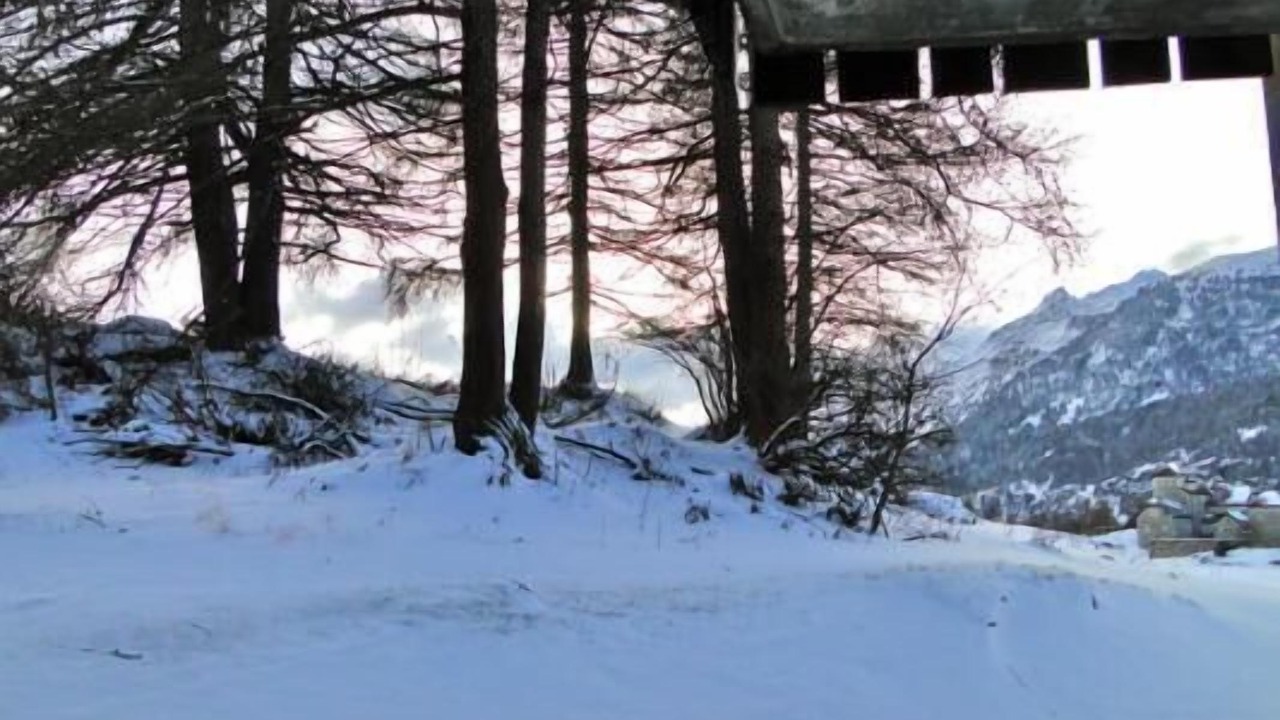 Photo of Outdoor in Surlej