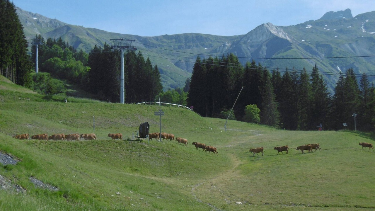 Photo of Others in Valmorel