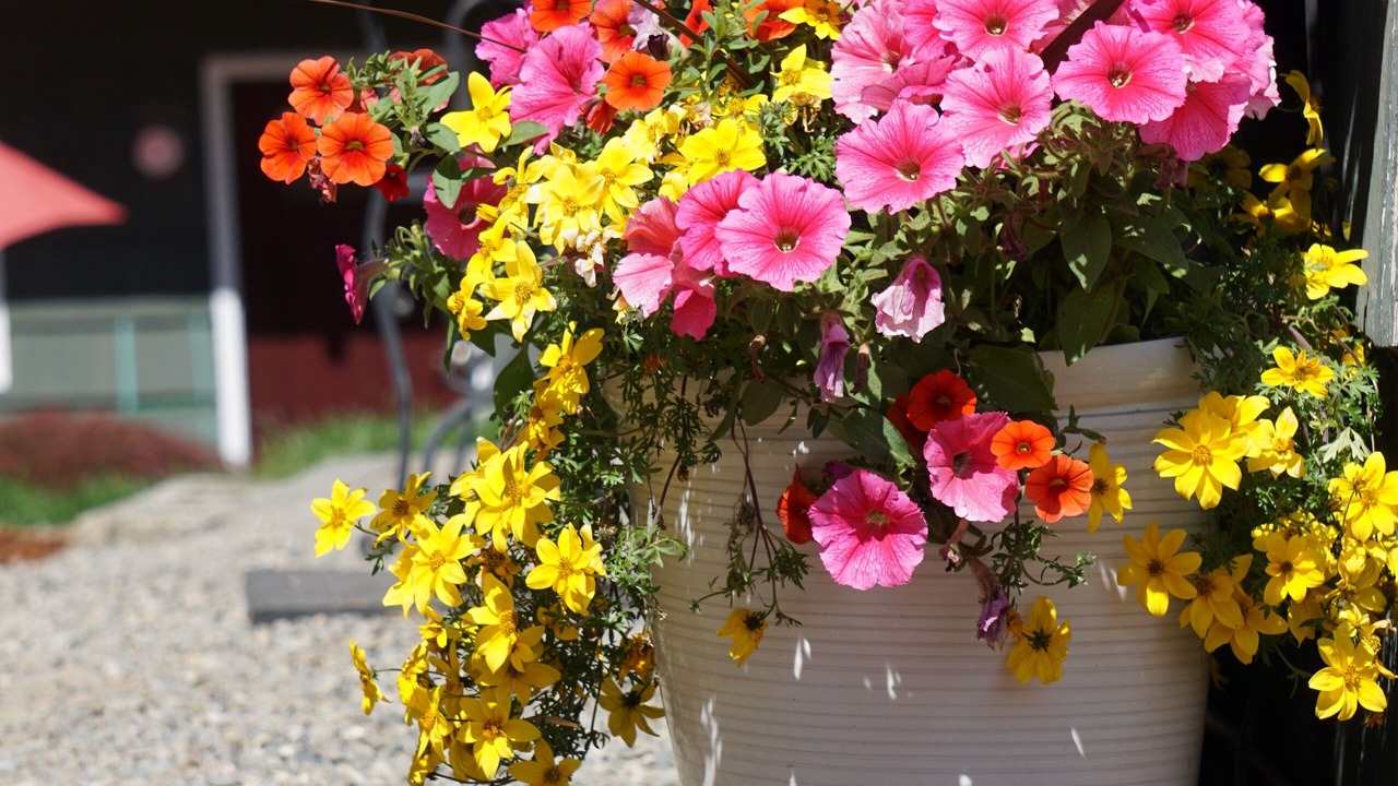 Photo of Outdoor in Federal Way