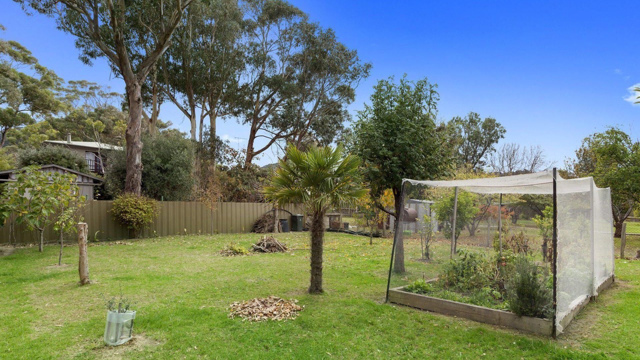 Photo of Outdoor in Skenes Creek