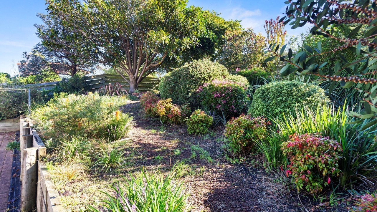 Photo of Outdoor in Skenes Creek