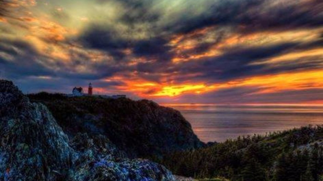 Photo of Others in Twillingate