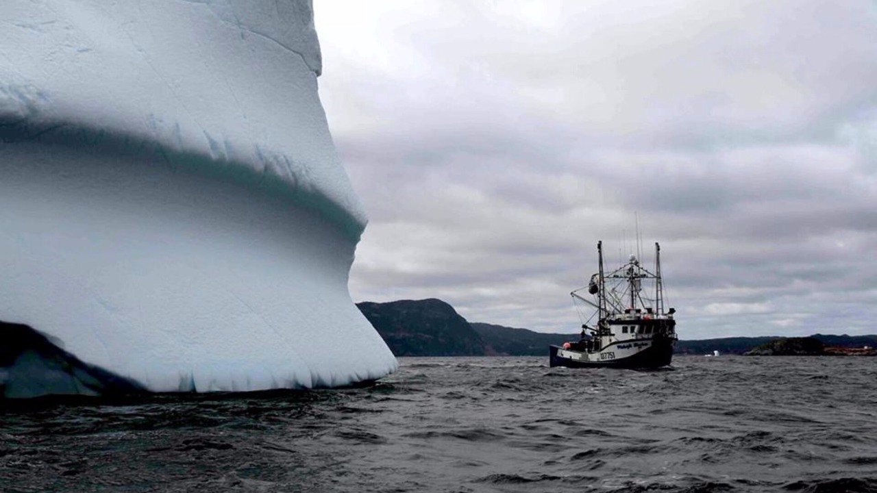 Photo of Others in Twillingate