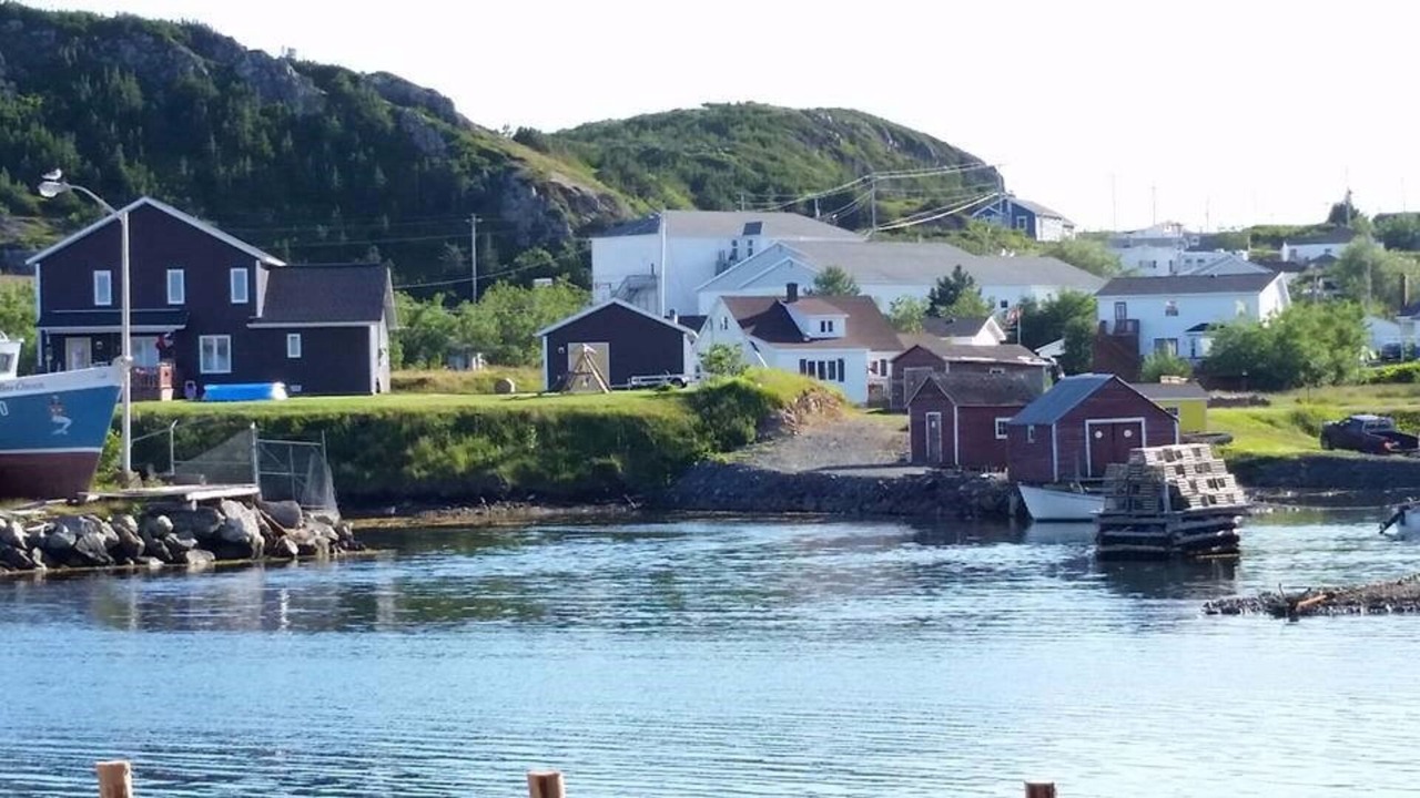 Photo of Others in Twillingate