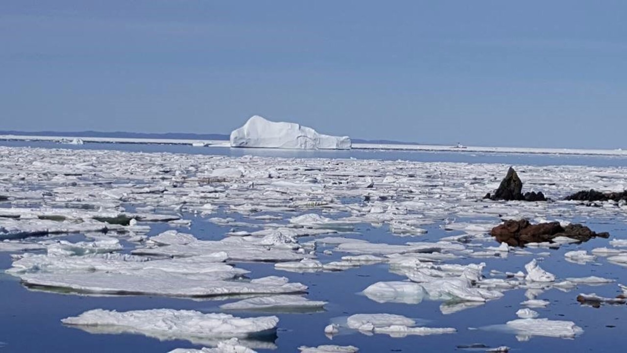 Photo of Others in Twillingate