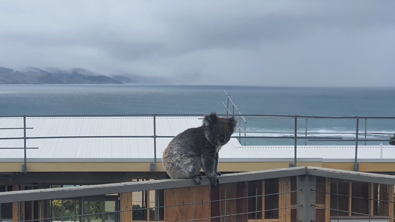 Photo of Outdoor in Marengo