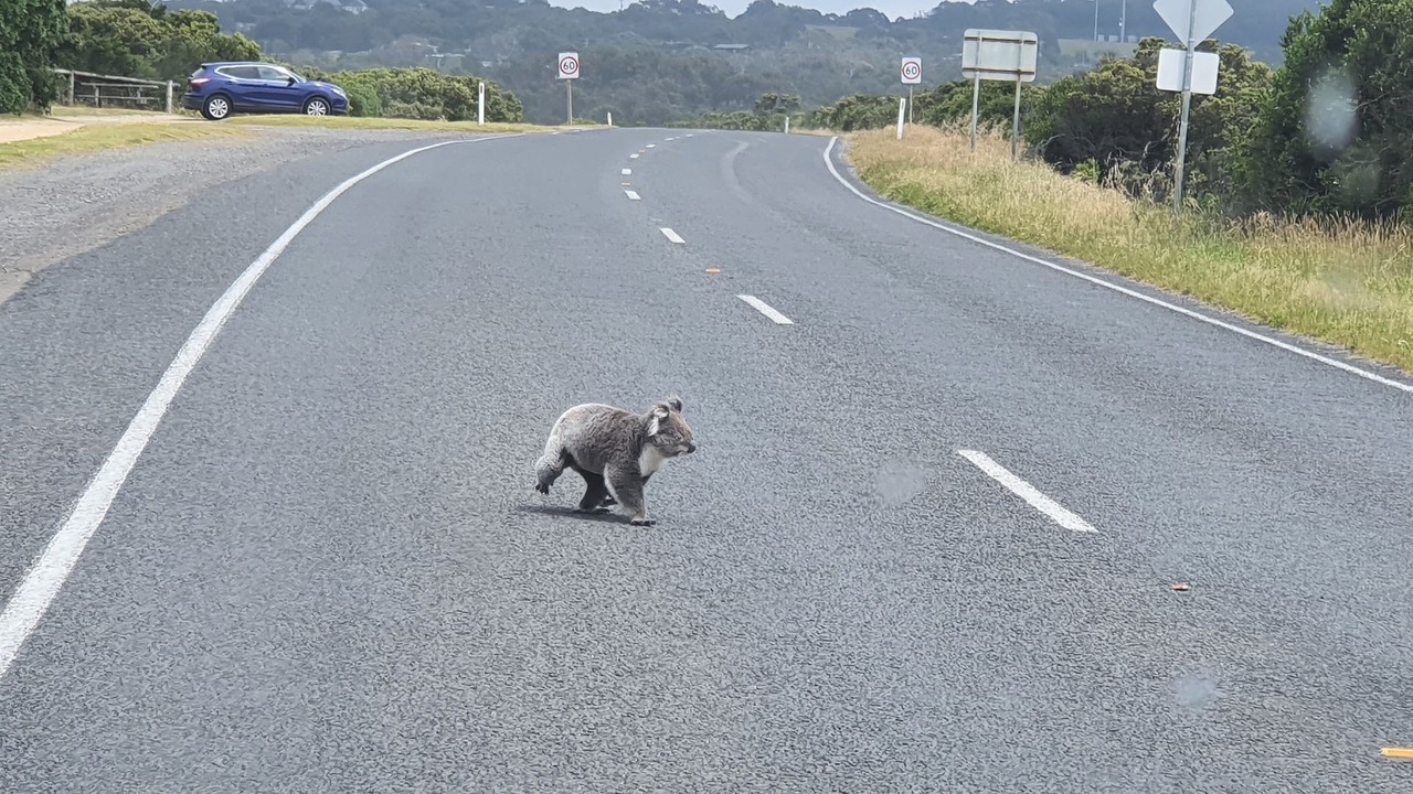 Photo of Outdoor in Marengo