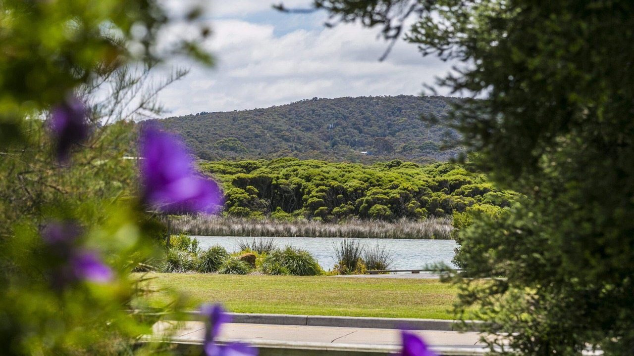 Photo of Outdoor in Anglesea