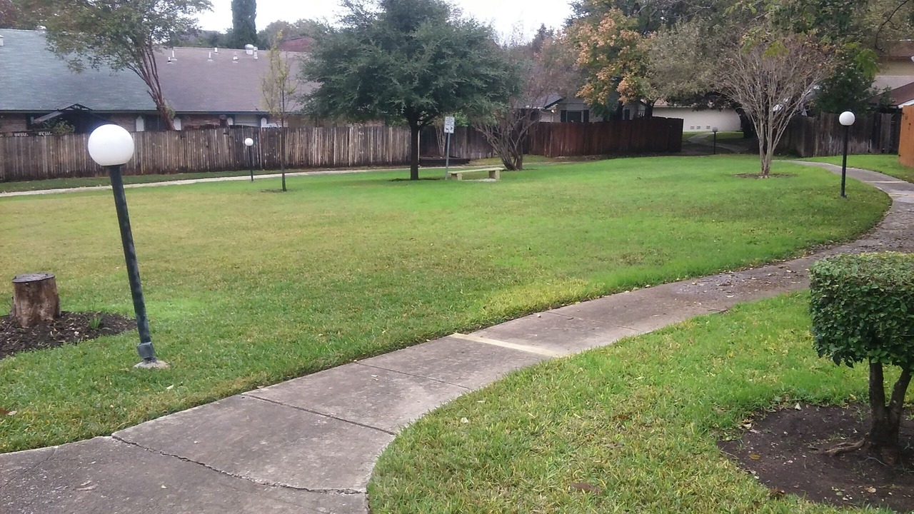 Photo of Others in West San Antonio