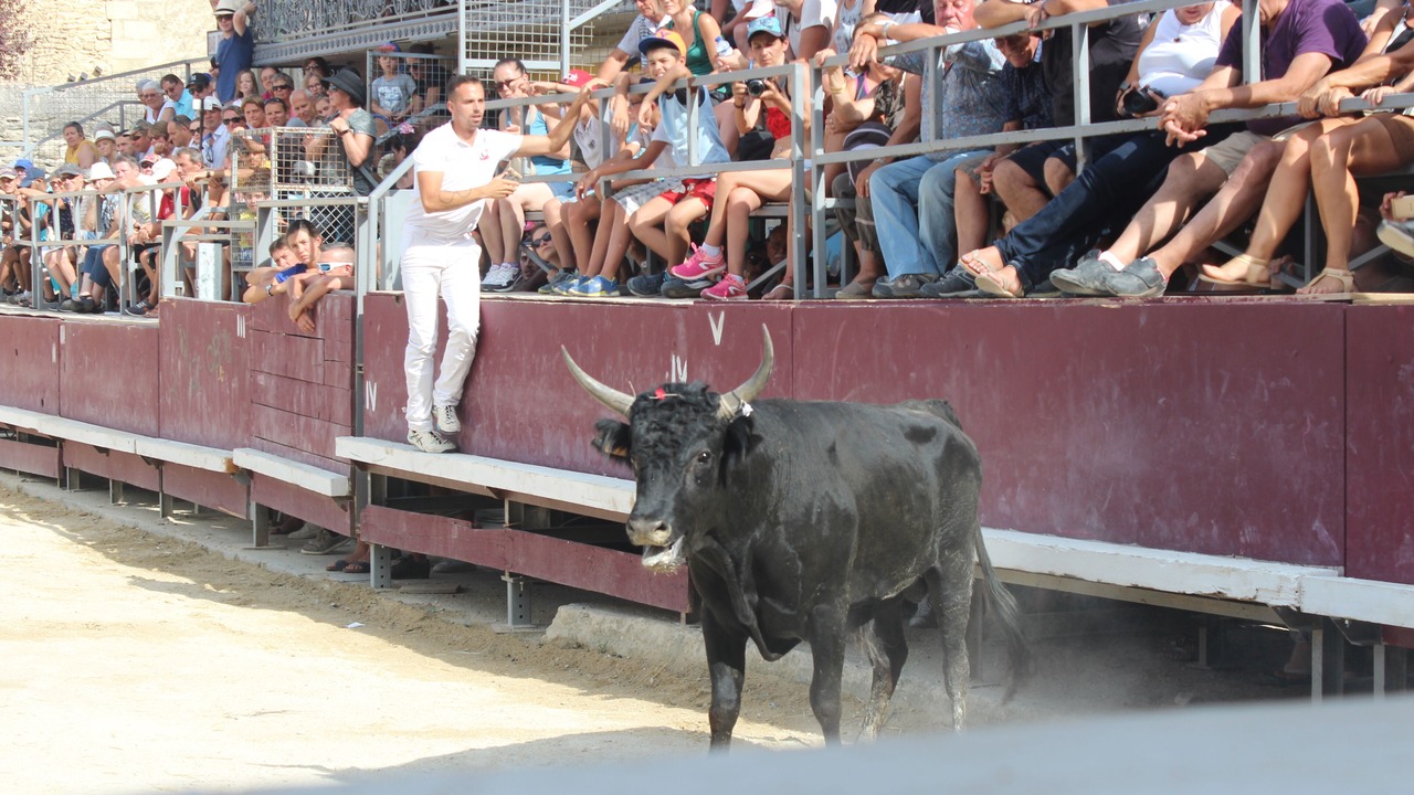 Photo of Others in Aubais