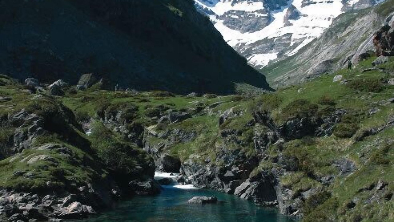 Photo of Others in Gedre