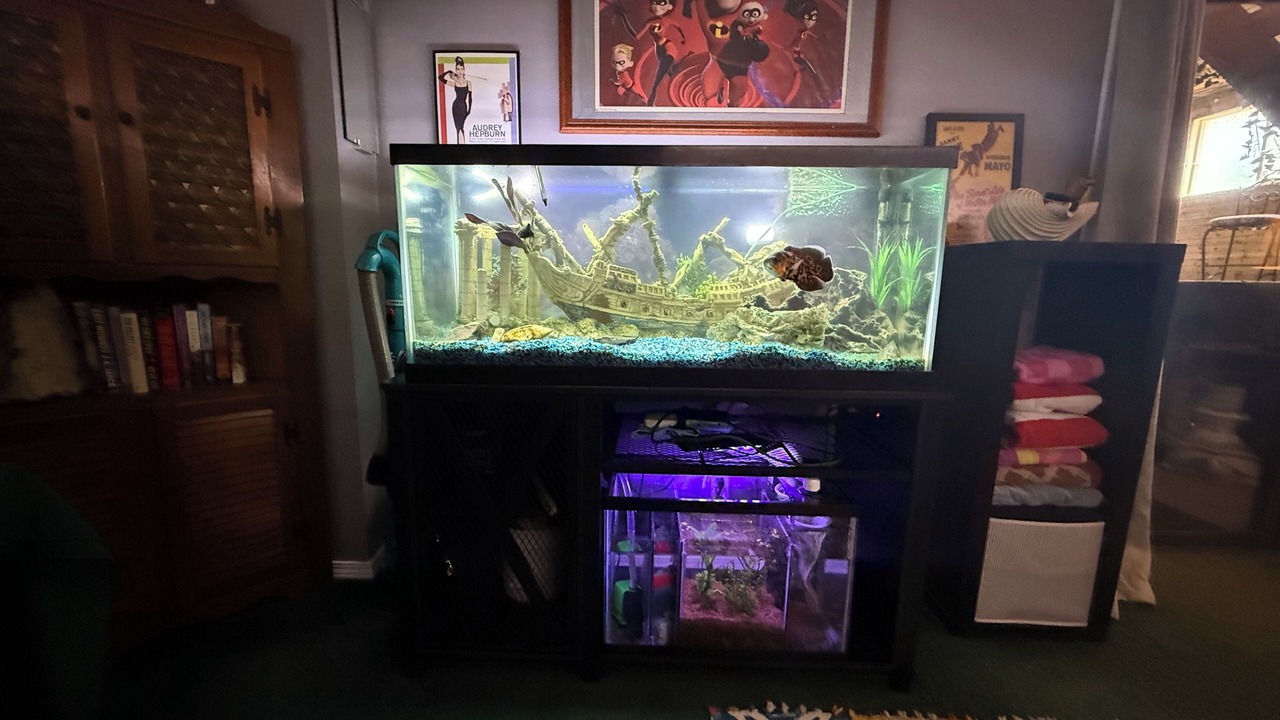 Photo of Others in Fairwood