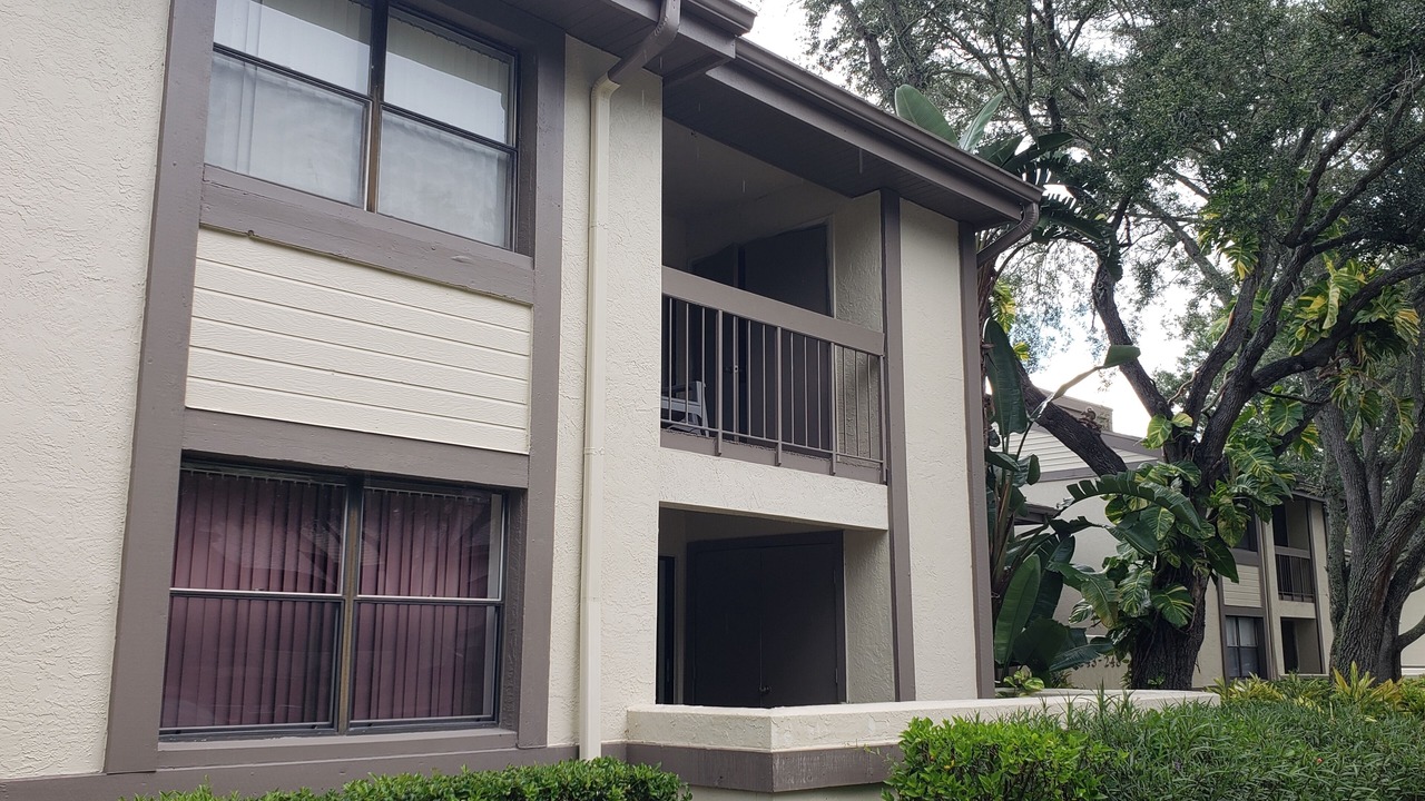 Photo of Outdoor in Oldsmar