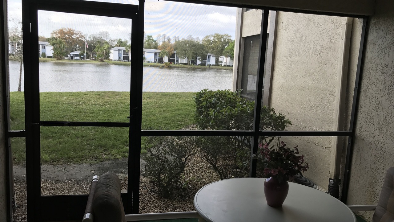 Photo of Others in Oldsmar