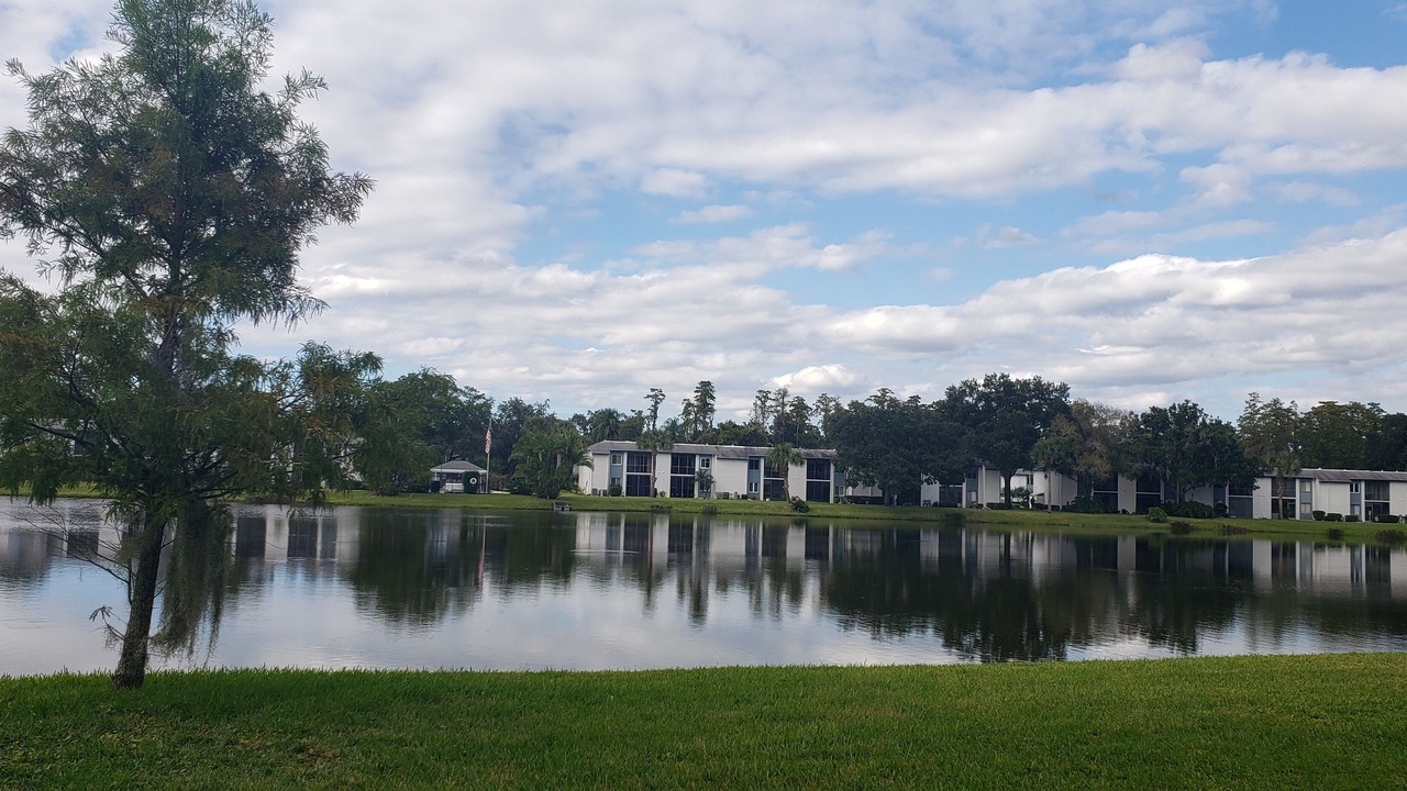 Photo of Outdoor in Oldsmar