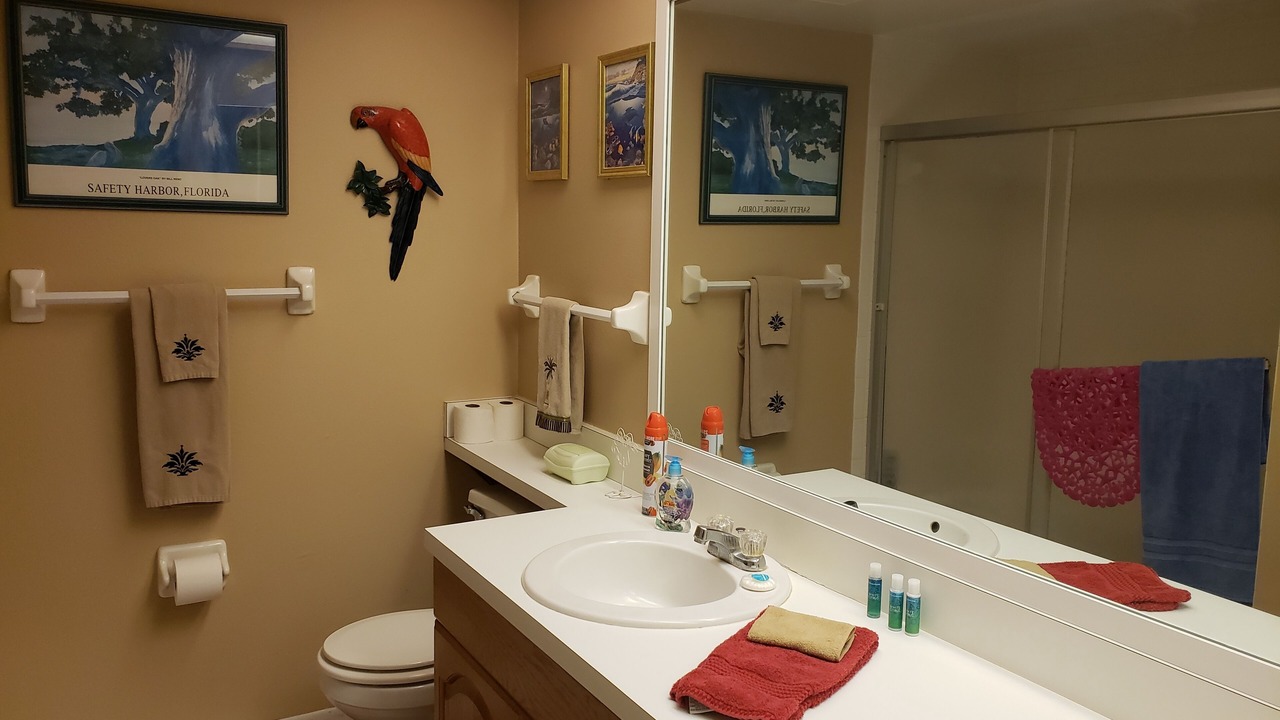 Photo of Bathroom in Oldsmar