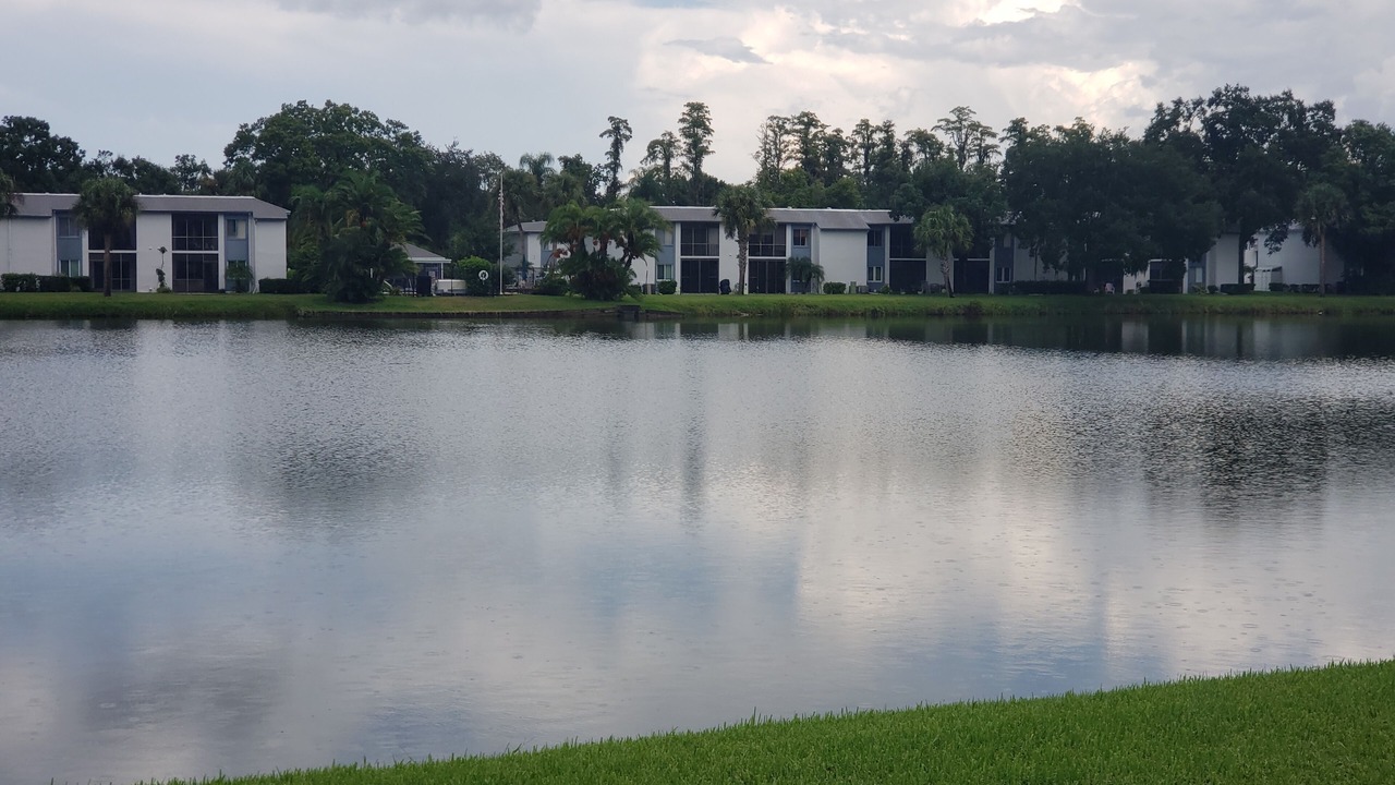 Photo of Outdoor in Oldsmar