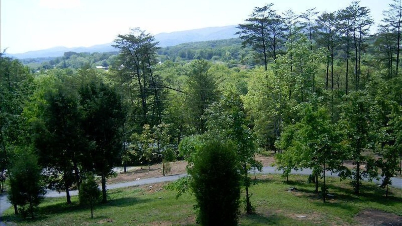 Photo of Others in Pigeon Forge