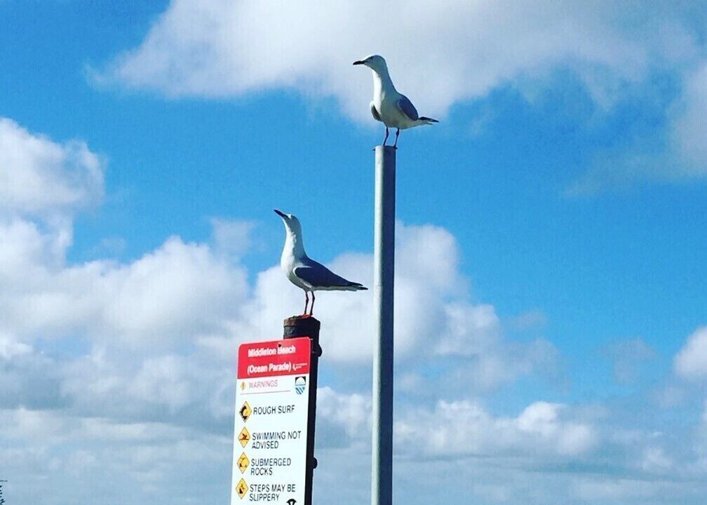 Photo of Others in Goolwa Beach