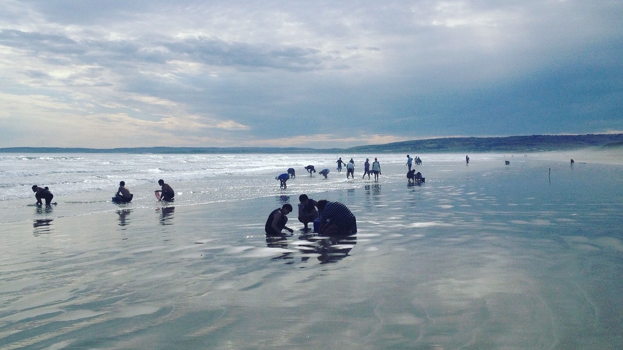 Photo of Others in Goolwa Beach