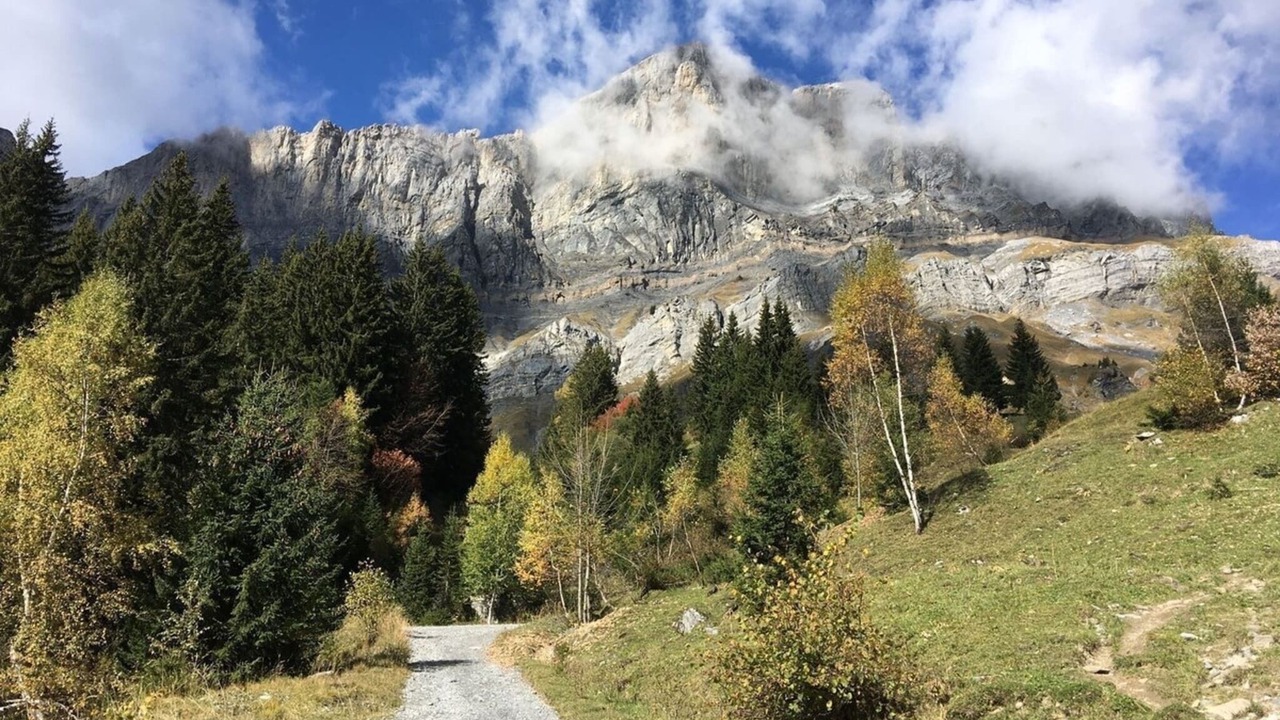 Photo of Others in Plateau-d'Assy