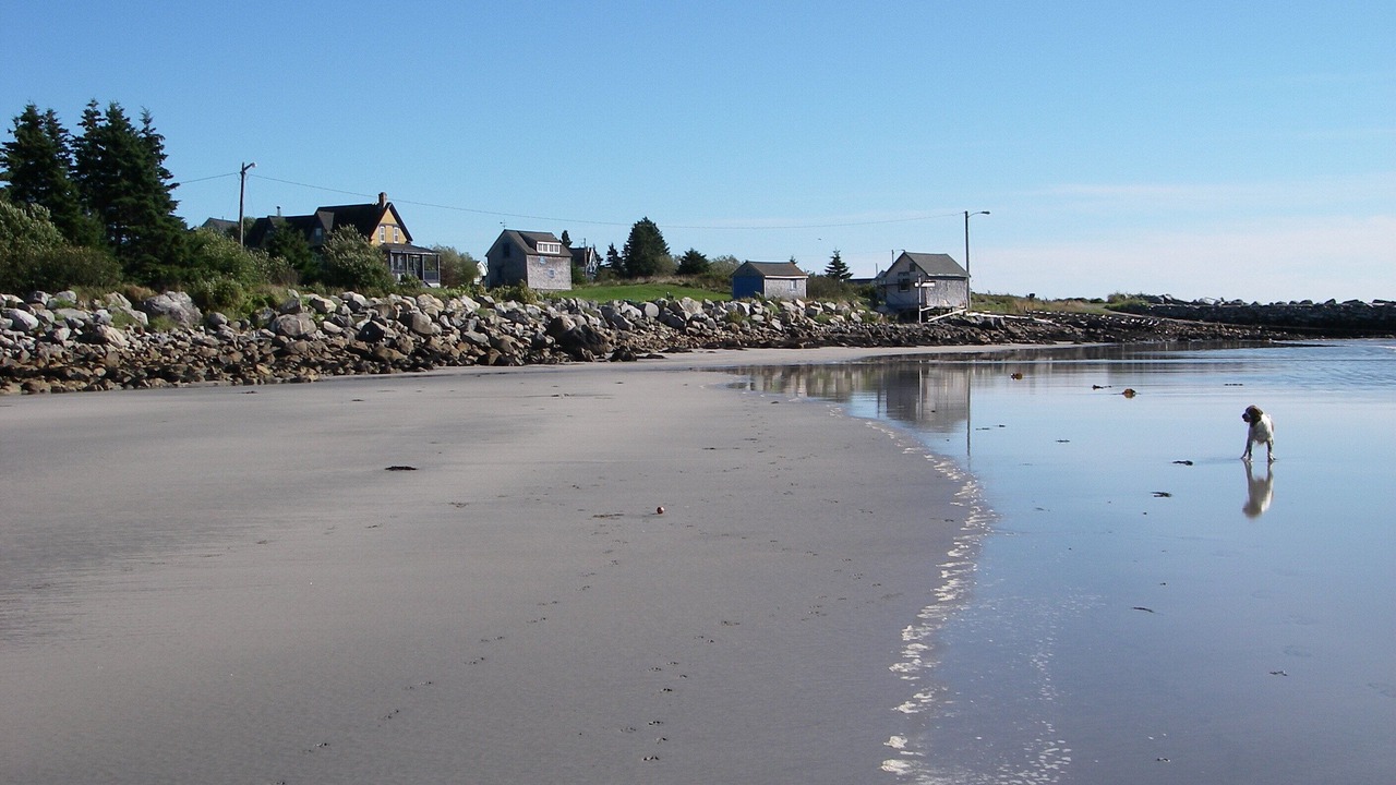 Photo of Others in Eagle Head