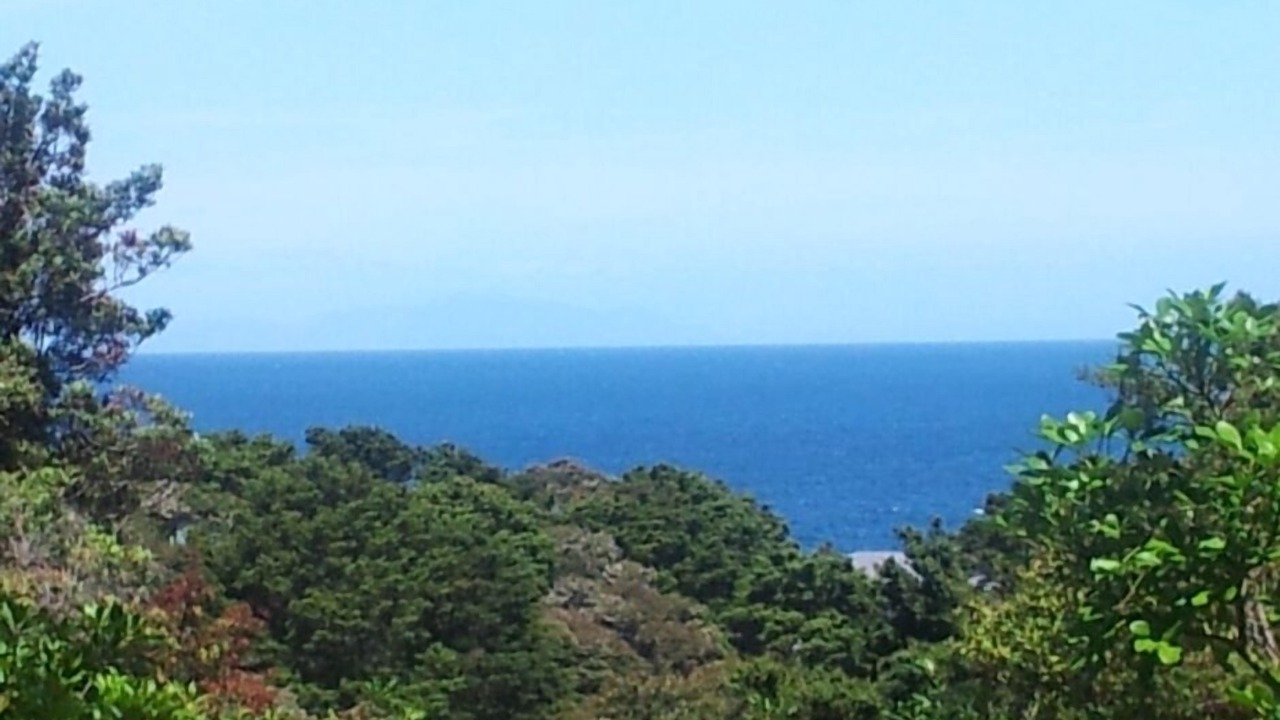 Photo of Others in Leigh