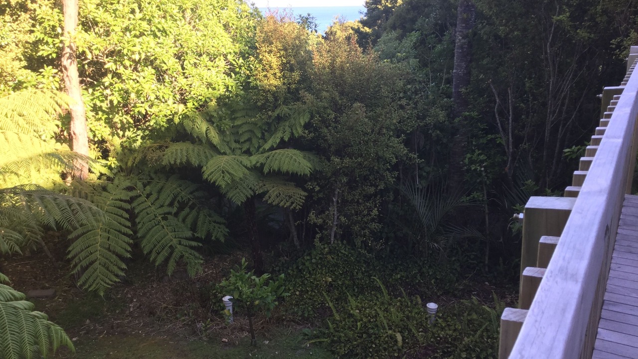 Photo of Outdoor in Leigh