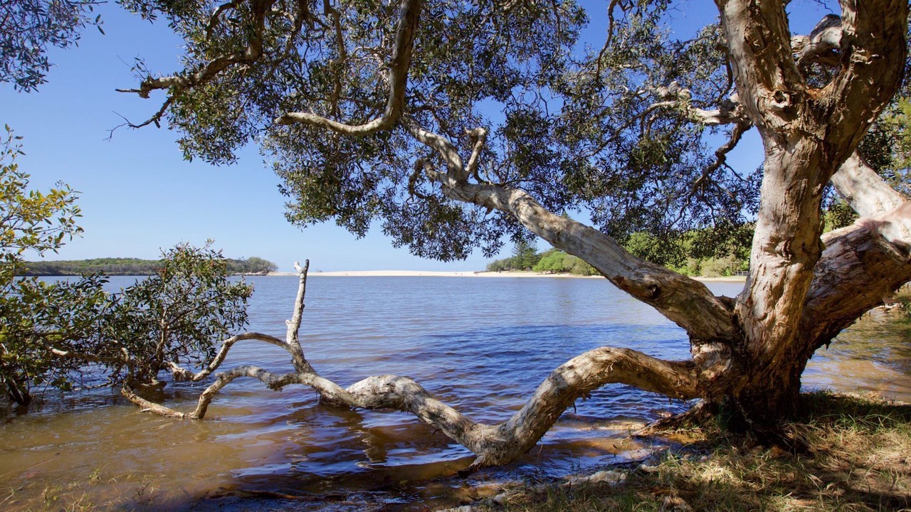 Photo of Others in Moffat Beach