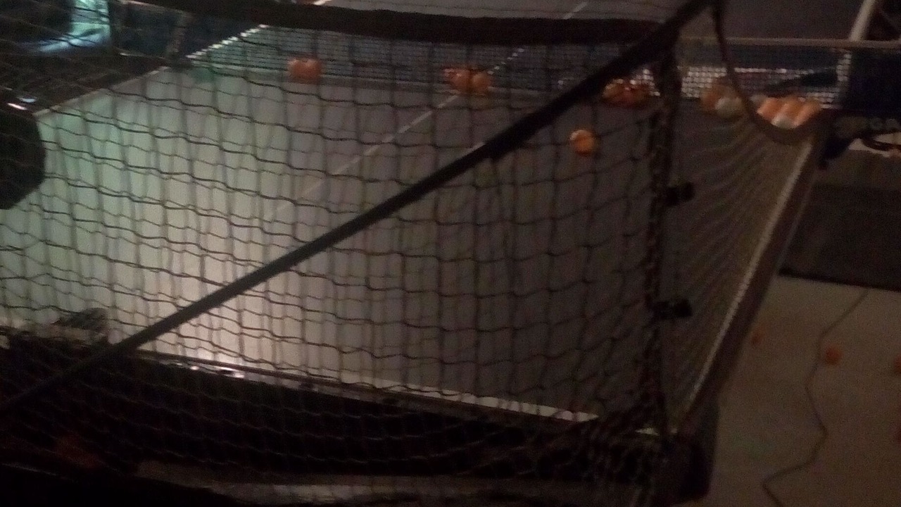 Photo of Bedroom in Inglewood-Finn Hill