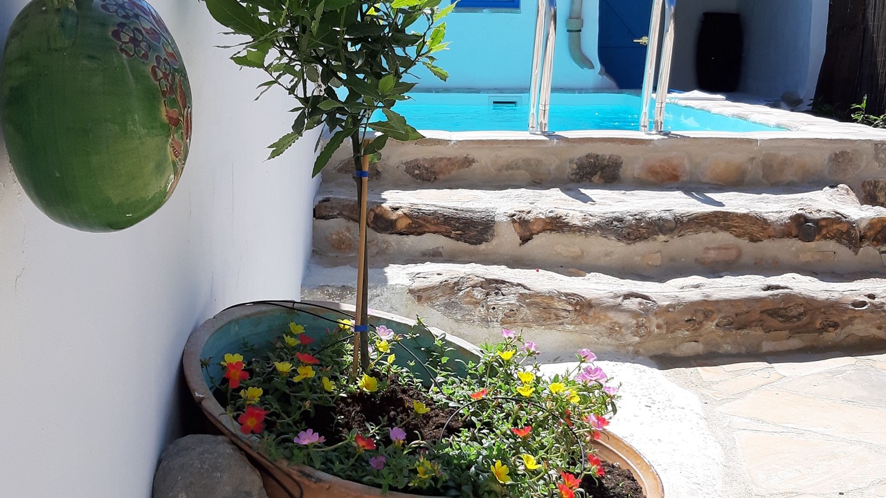 Photo of Outdoor in San Jorge