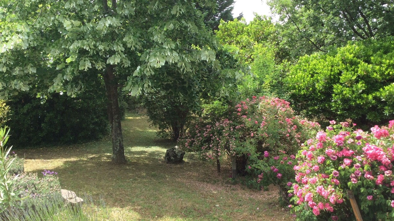 Photo of Outdoor in Tauriers