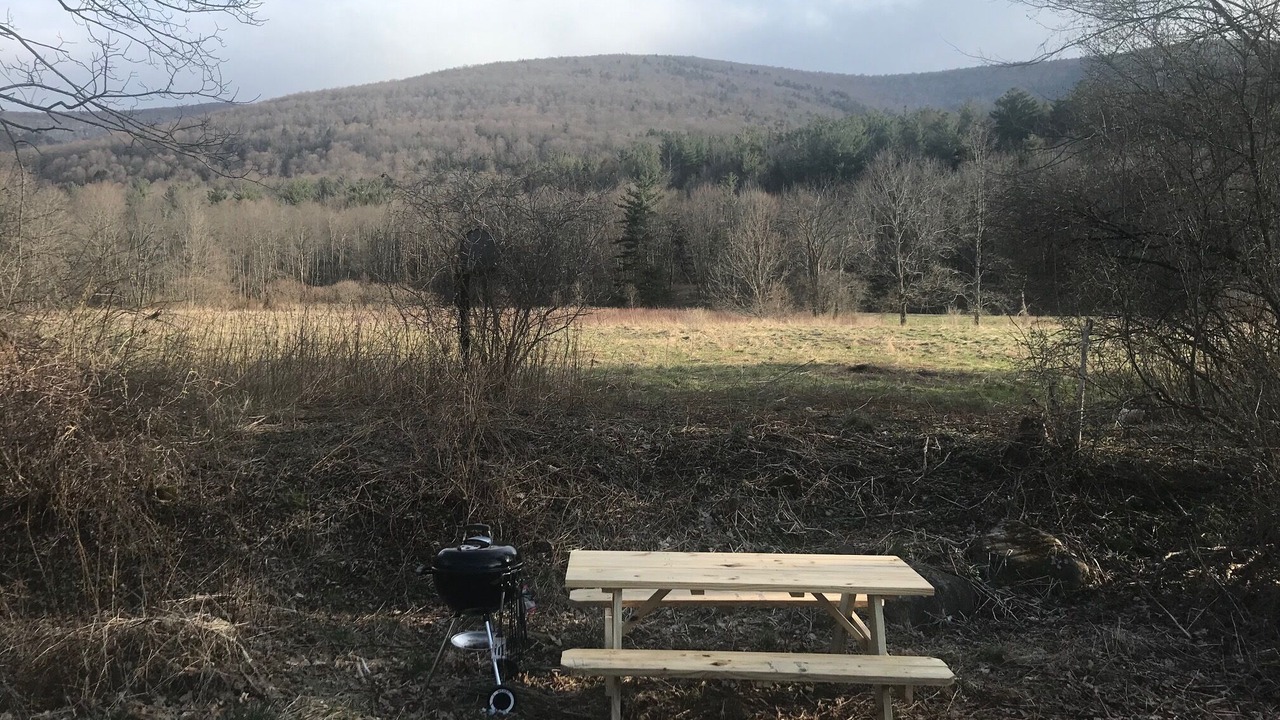 Photo of Others in West Kill