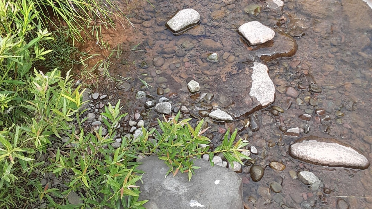 Photo of Outdoor in West Kill