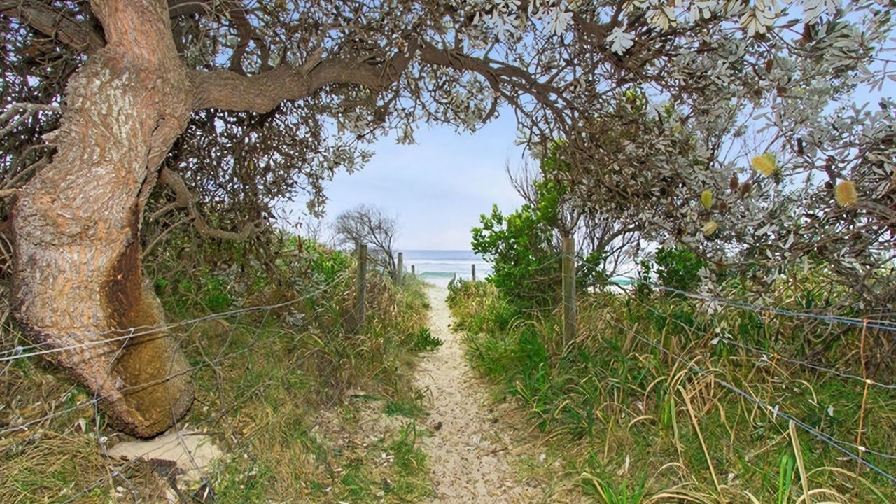 Photo of Outdoor in Hastings Point