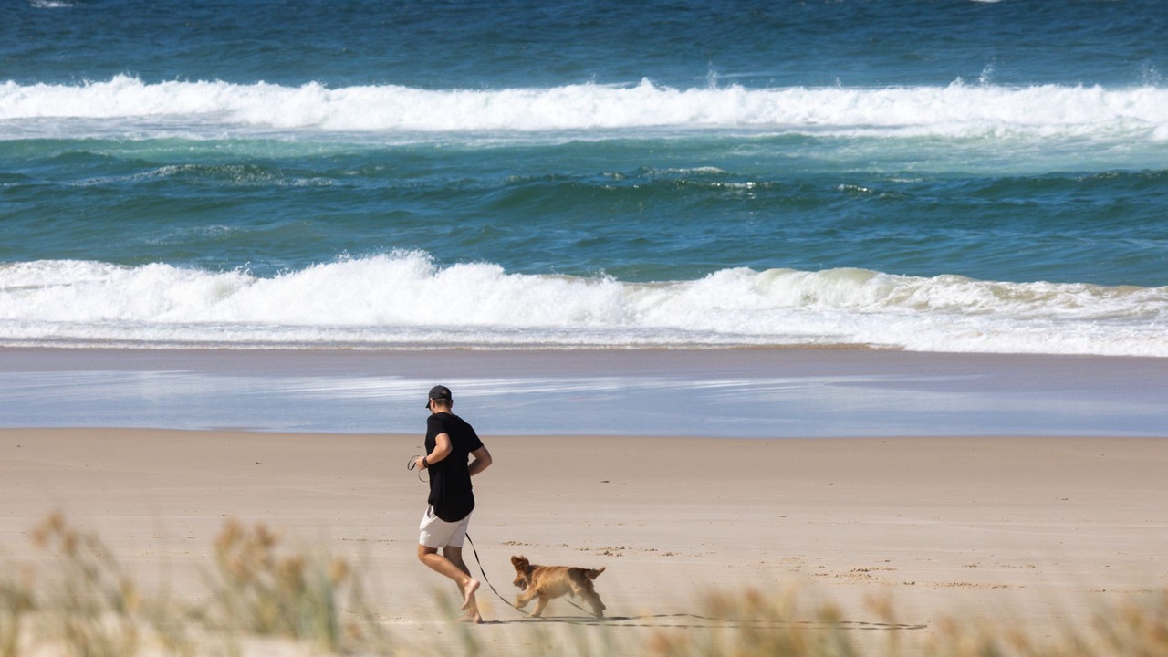 Photo of Others in Kingscliff