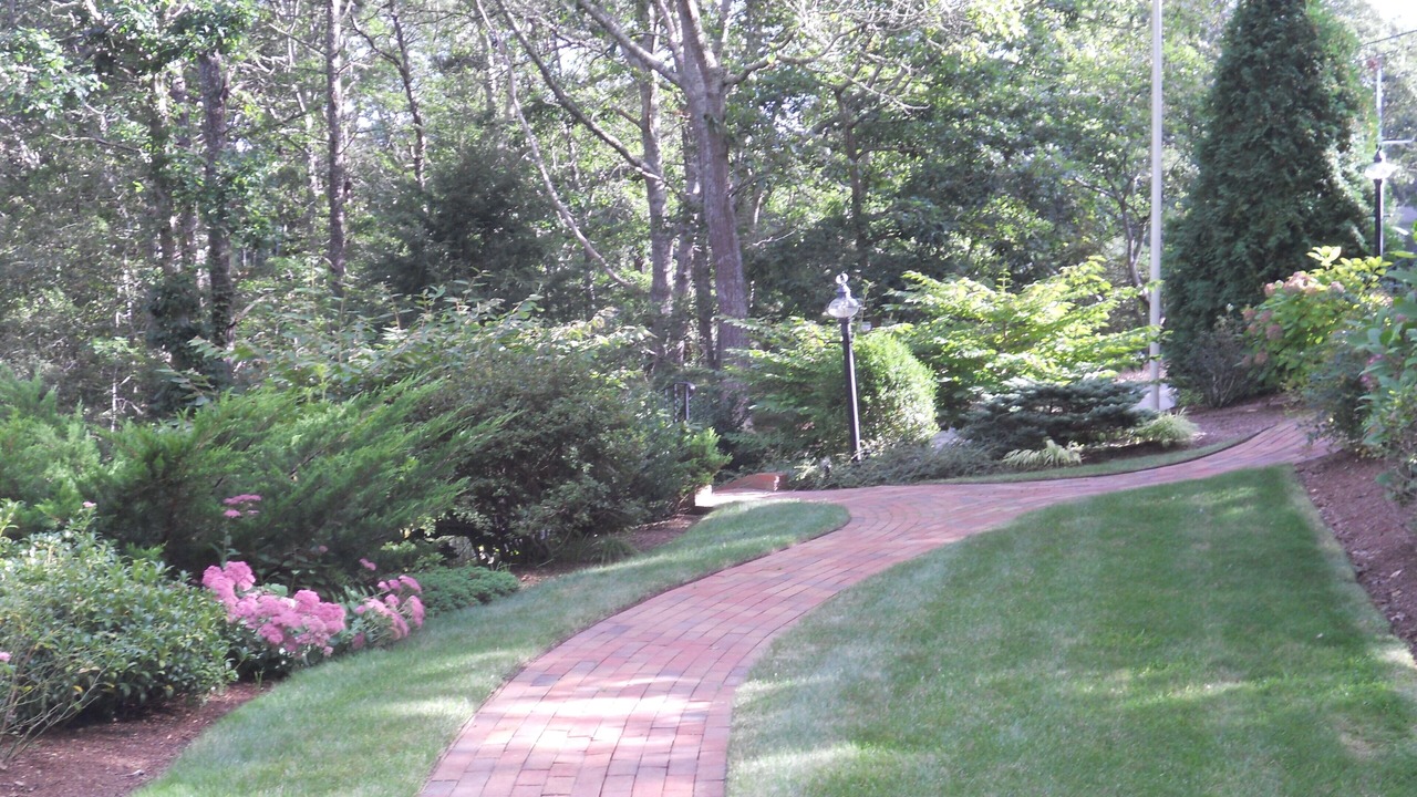 Photo of Others in Chatham