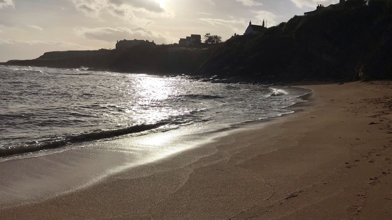 Photo of Others in Crail