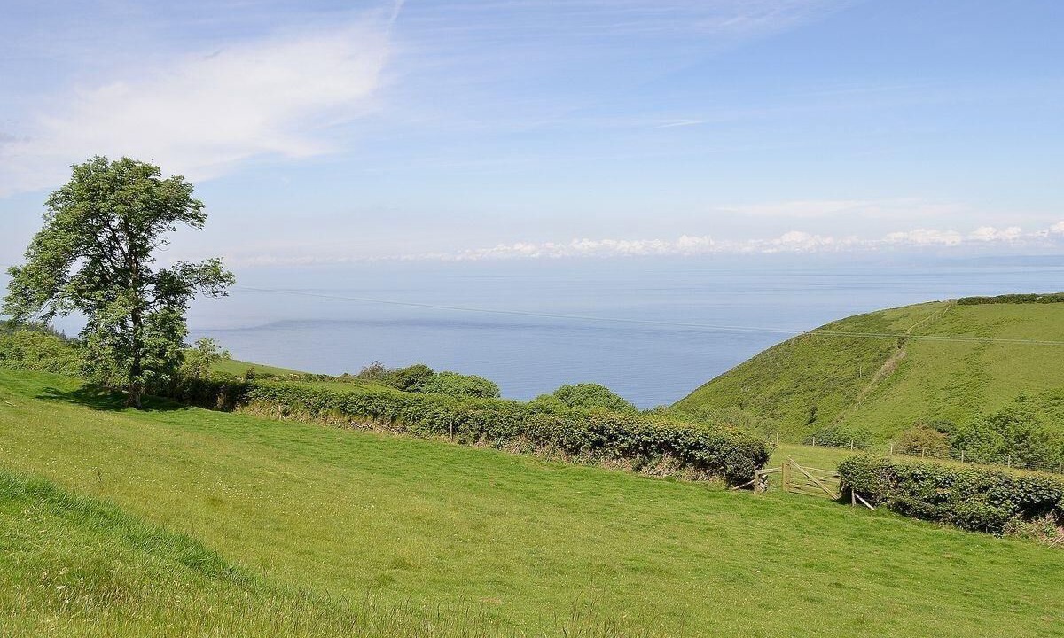 Photo of Others in Oare